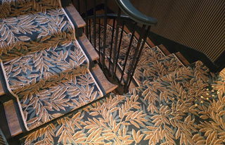 Cliquez pour agrandir