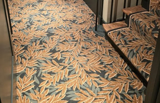 Cliquez pour agrandir